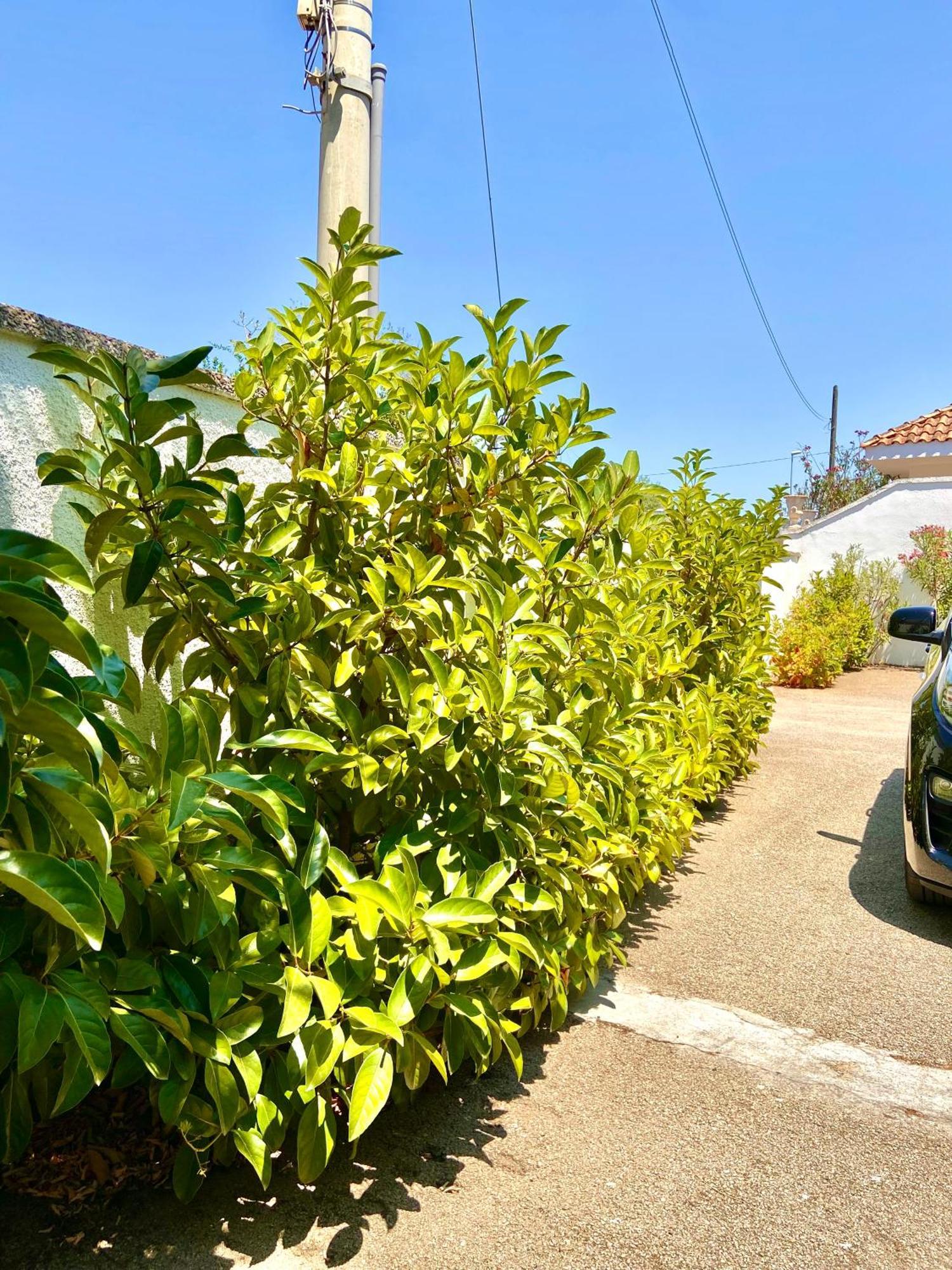 B&B Costa Azzurra Porto Cesareo Exterior foto